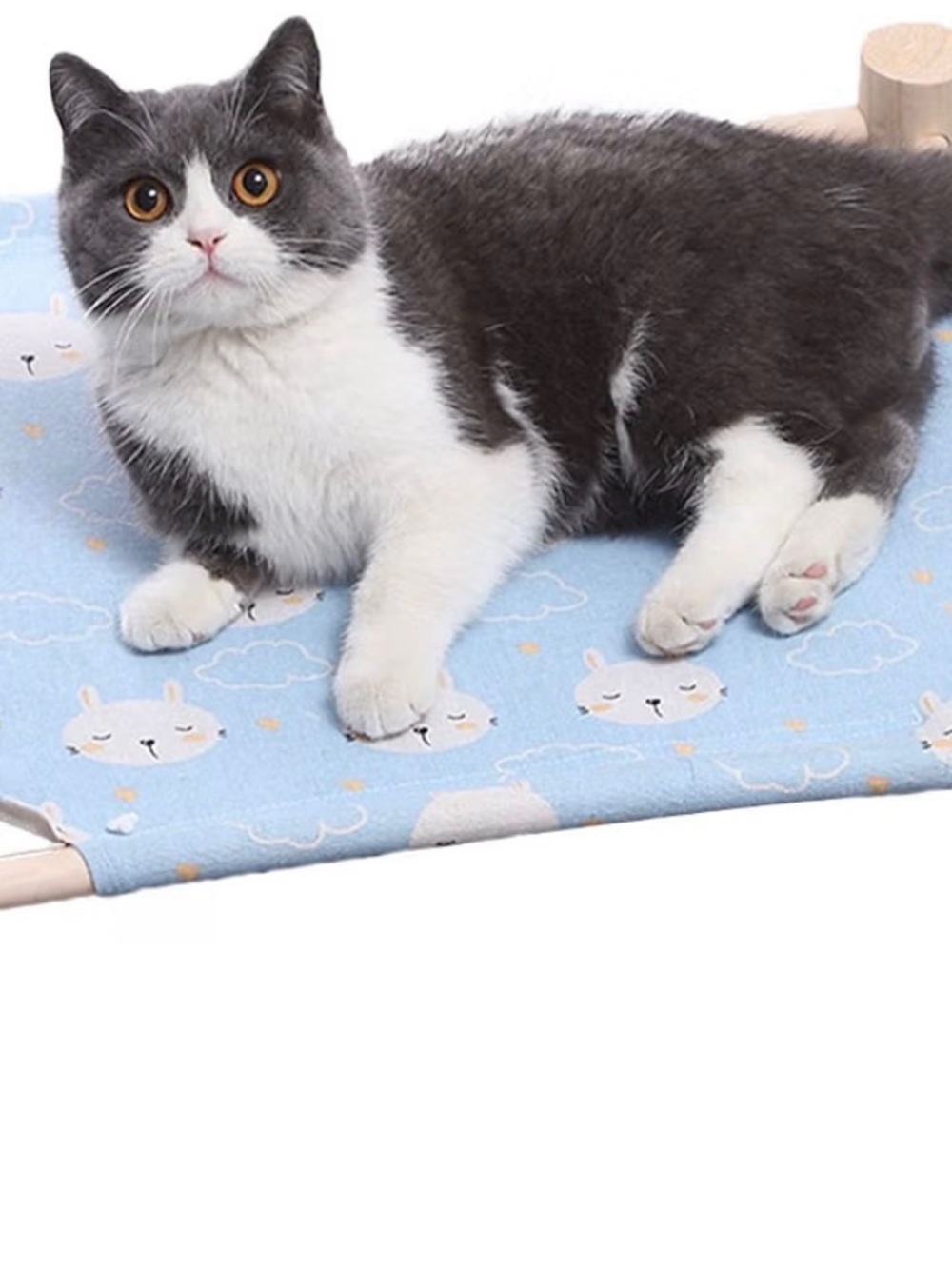 Pet Cat Hammock Bed - Blue Cloud Pattern 19.6 x 5.1 inches